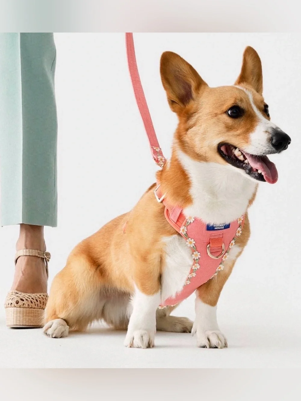 Hooray House Daisy Dog Harness Medium NWT